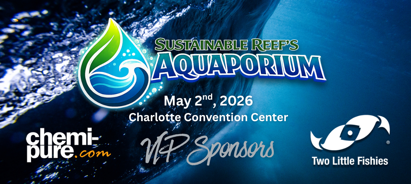 Blue Vibrant an White Modern Professional Website Development Services Banner (16)