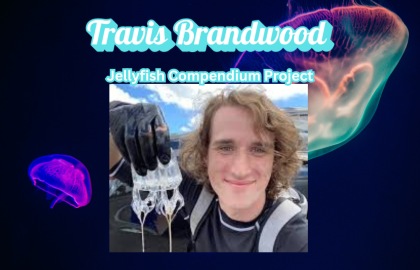 Travis Brandwood