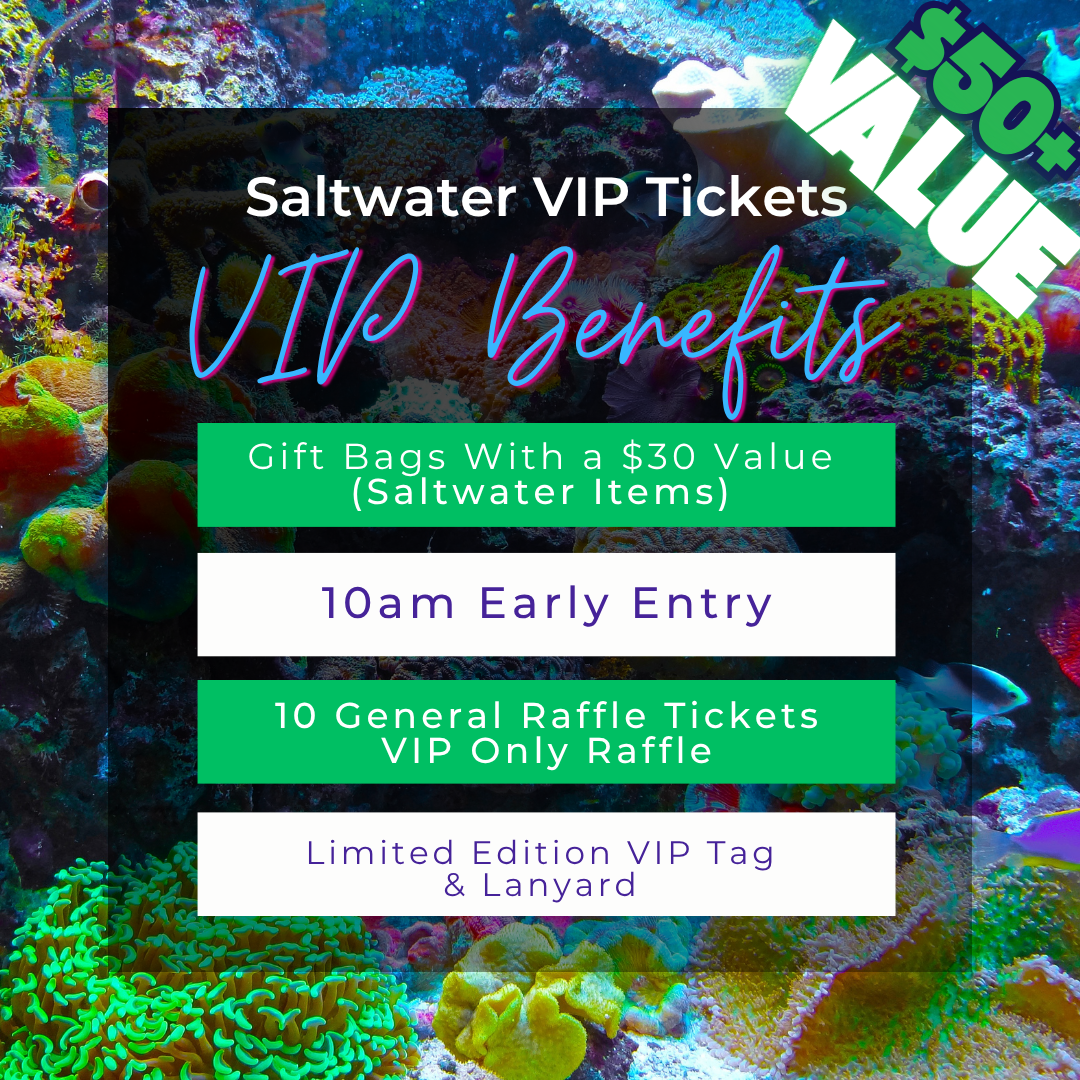 Saltwater VIP Tickets