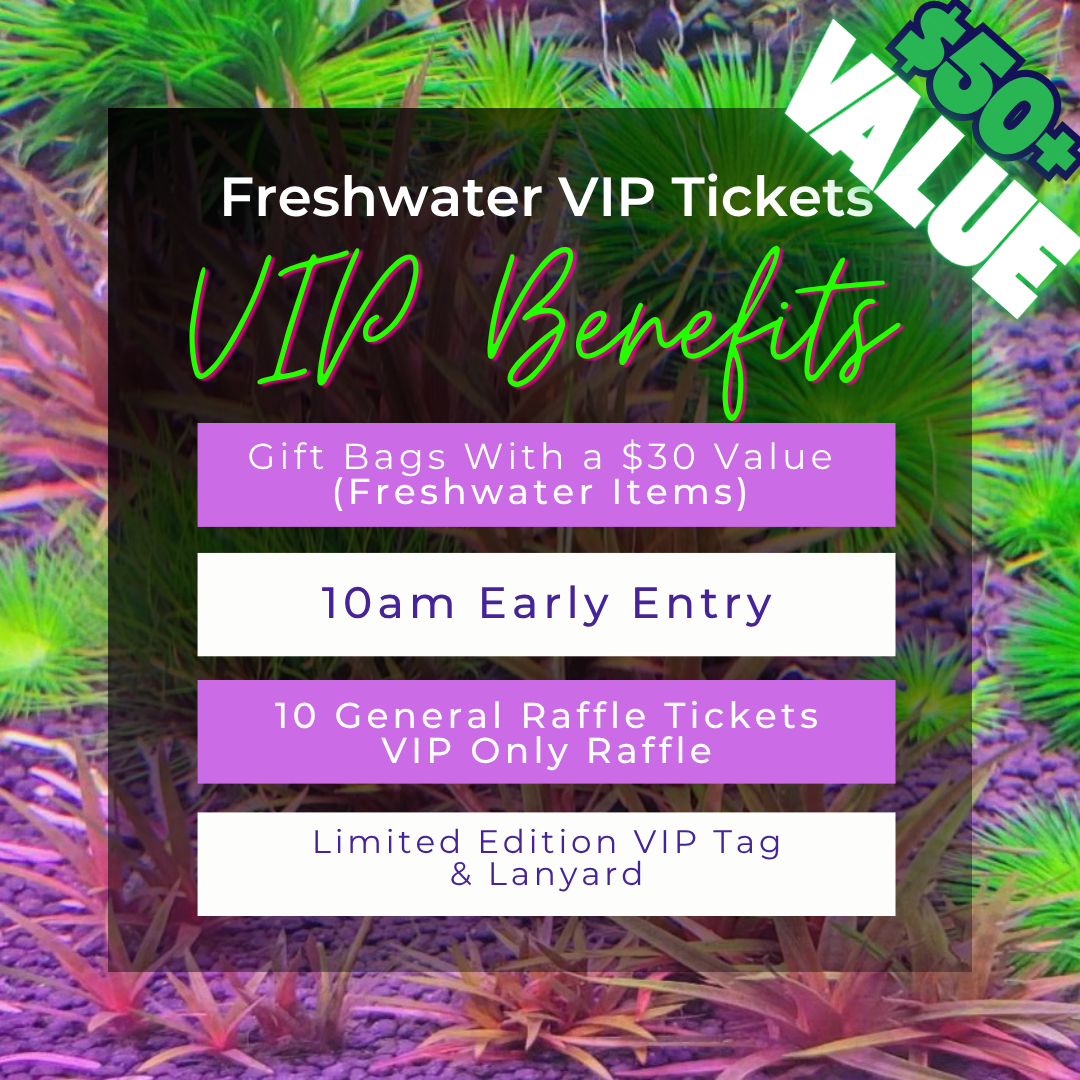 Includes Early Entry!