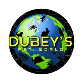 Dubey's Pet World