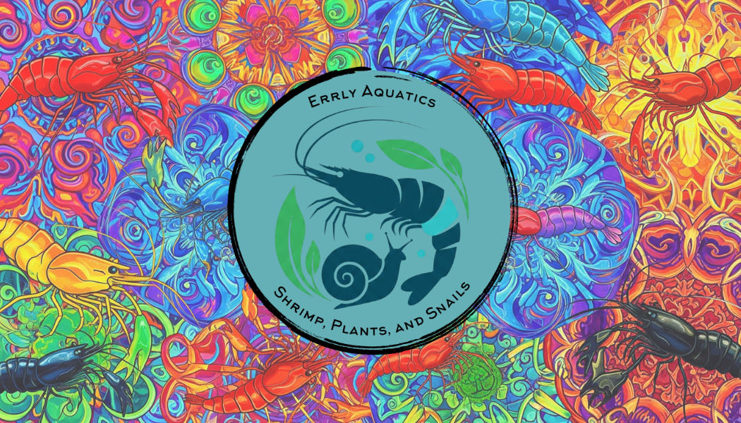 Errly Aquatics