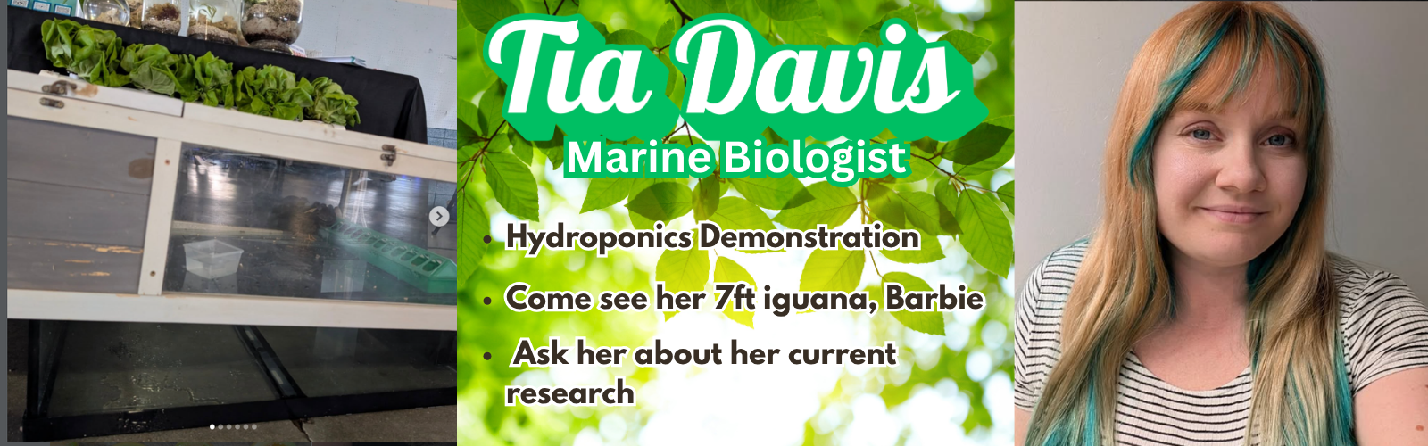 Untitled (1600 x 500 px)