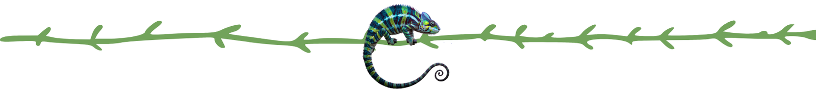 Untitled (2560 x 500 px) (1800 x 200 px) (1)