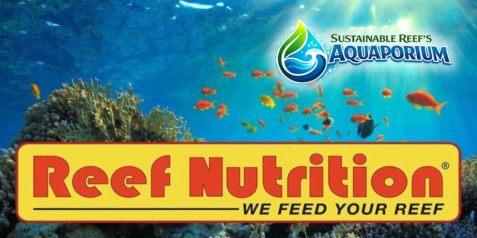 Reef Nutrition
